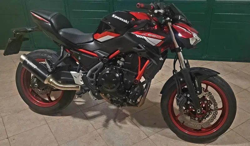 Kawasaki Z 650 (2021 - 24) (11)