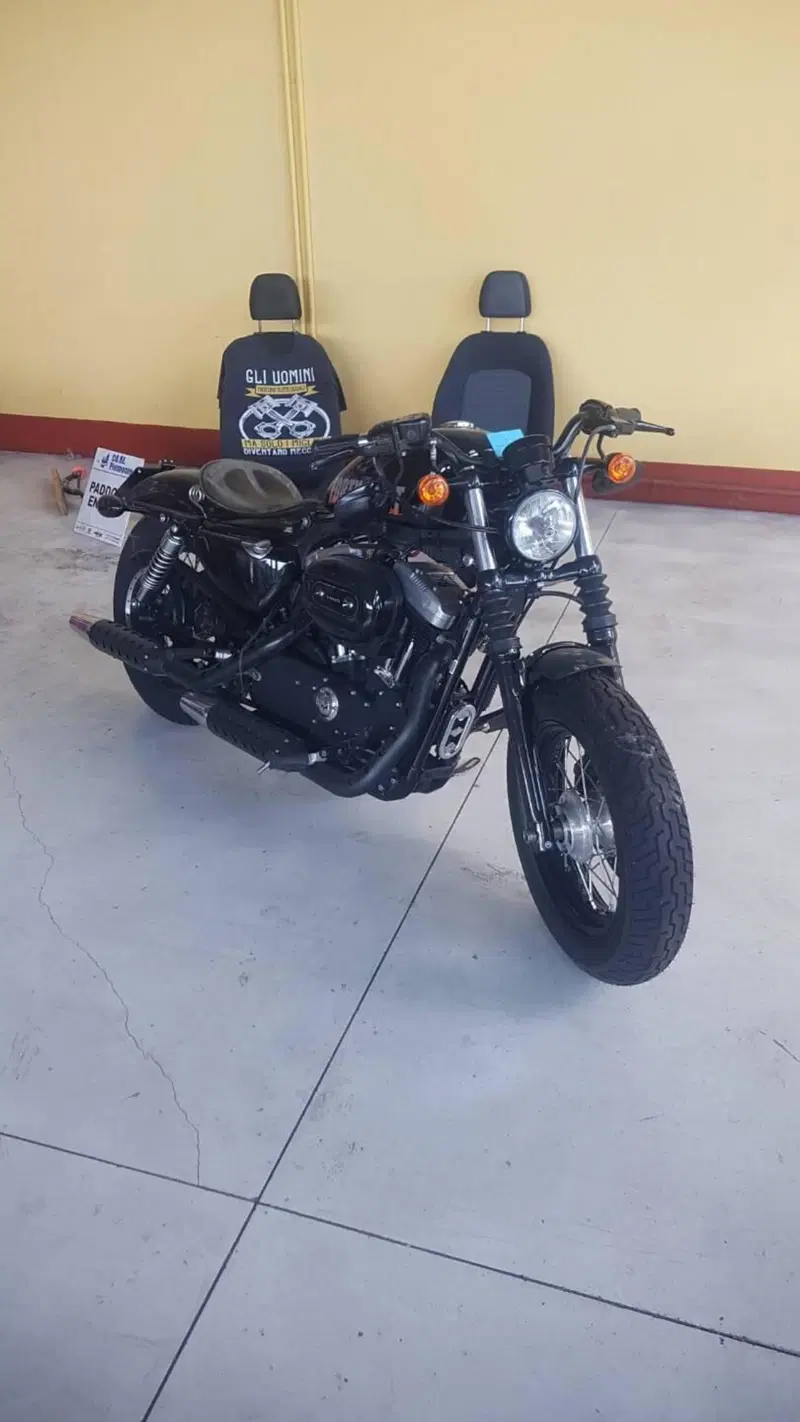 Harley-Davidson 1200 Forty-Eight (2010 - 15) (2)