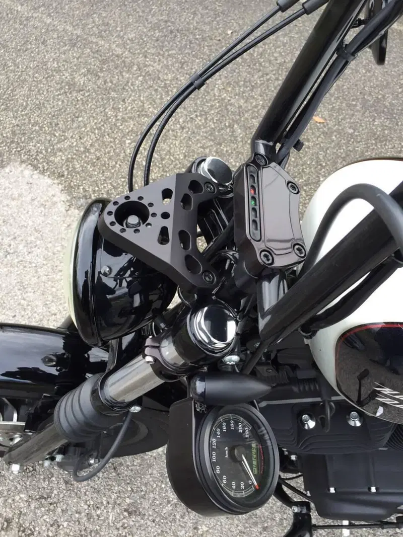 Harley-Davidson 883 Iron (2012 - 14) - XL 883N (2)