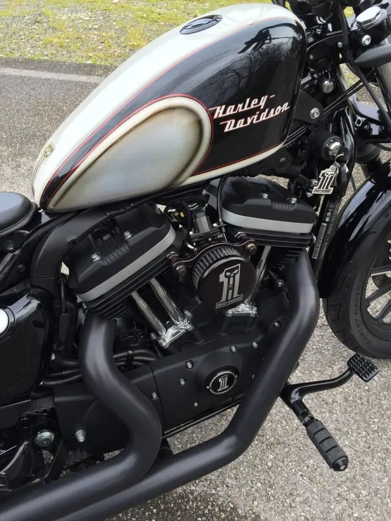 Harley-Davidson 883 Iron (2012 - 14) - XL 883N (8)