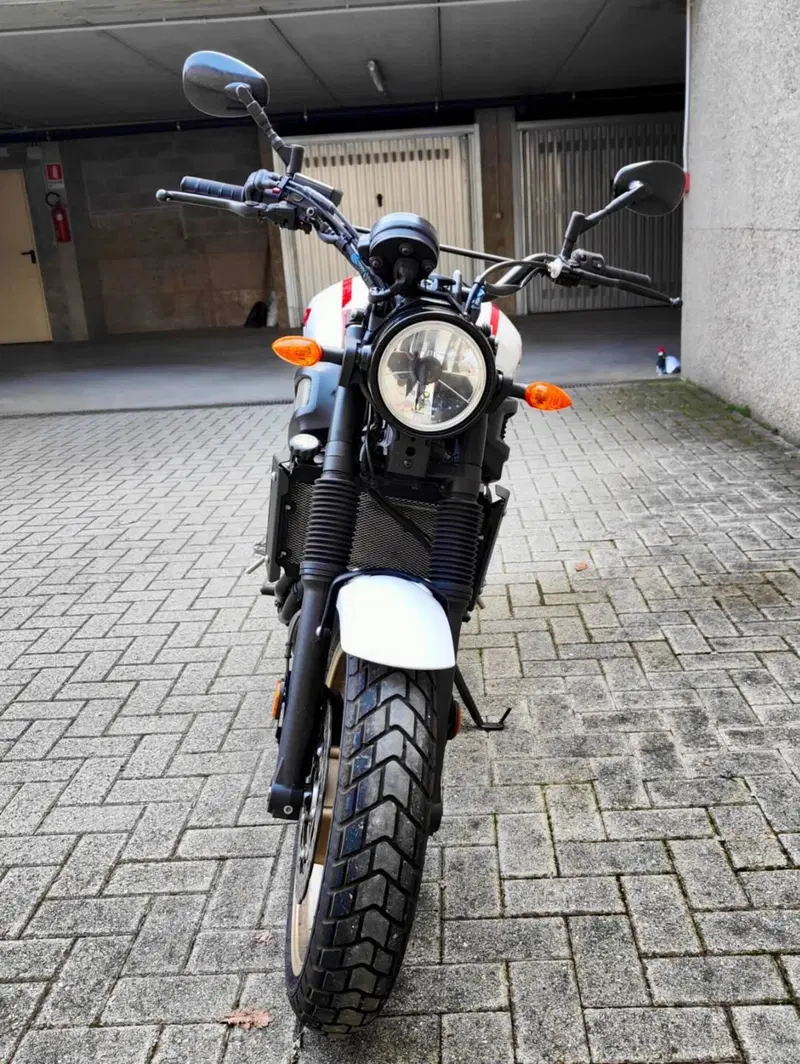 Yamaha XSR 700 XTribute (2019 - 20) (2)