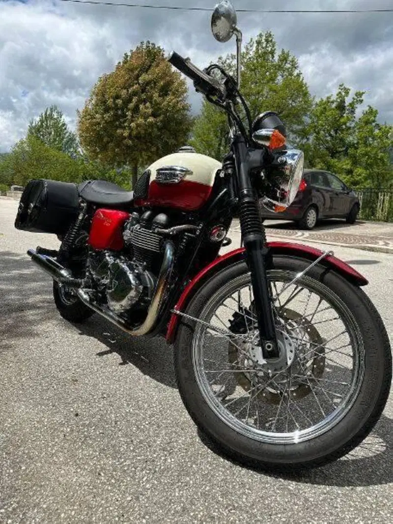 Triumph Bonneville T100 (2008 - 16) (2)