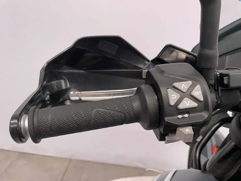 KTM 790 Adventure (2019 - 20) (12)