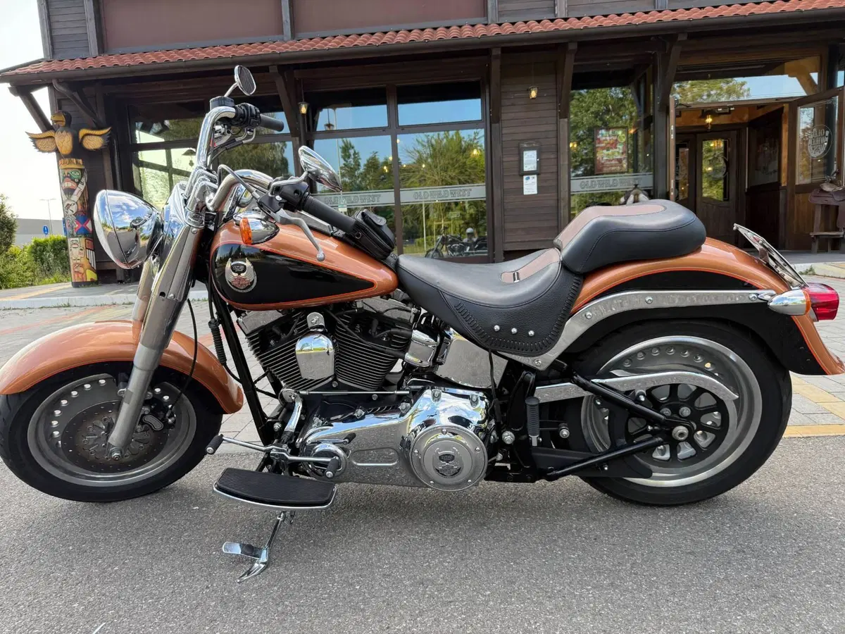 Harley-Davidson 1584 Fat Boy (2008 - 10) - FLSTF (3)