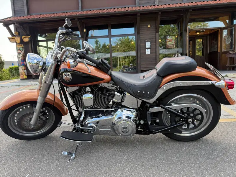 Harley-Davidson 1584 Fat Boy (2008 - 10) - FLSTF (3)