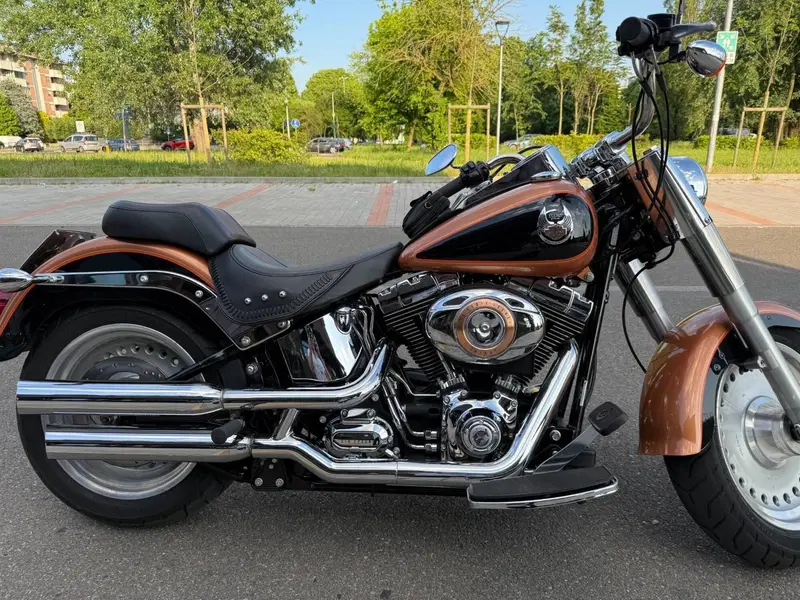 Harley-Davidson 1584 Fat Boy (2008 - 10) - FLSTF (4)