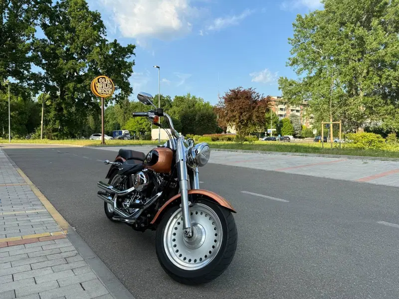 Harley-Davidson 1584 Fat Boy (2008 - 10) - FLSTF (5)