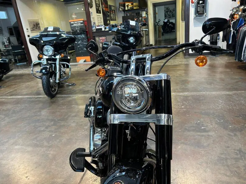 Harley-Davidson 107 Slim (2018 - 20) - FLSL (2)