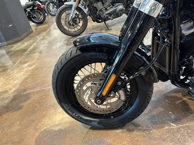 Harley-Davidson 107 Slim (2018 - 20) - FLSL (3)