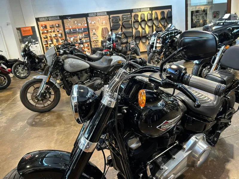 Harley-Davidson 107 Slim (2018 - 20) - FLSL (4)