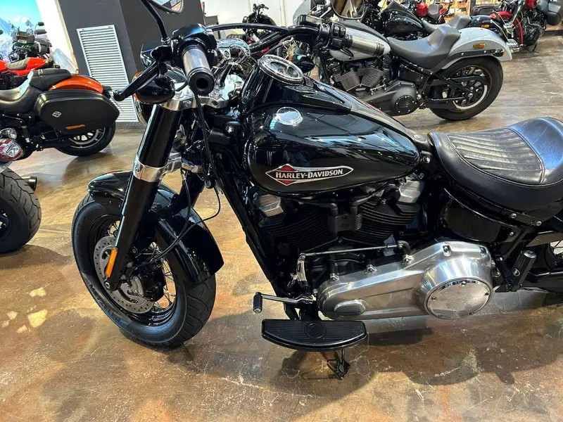 Harley-Davidson 107 Slim (2018 - 20) - FLSL (5)