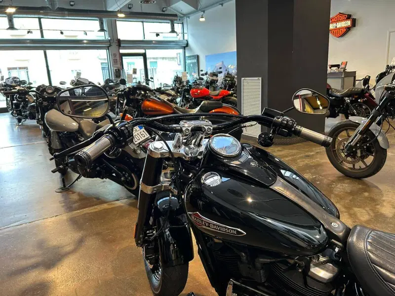 Harley-Davidson 107 Slim (2018 - 20) - FLSL (6)