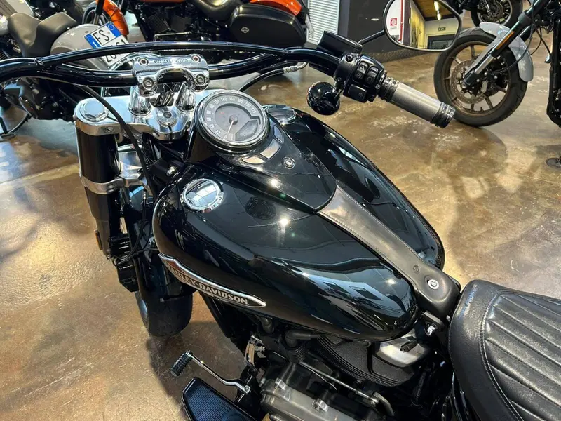 Harley-Davidson 107 Slim (2018 - 20) - FLSL (7)