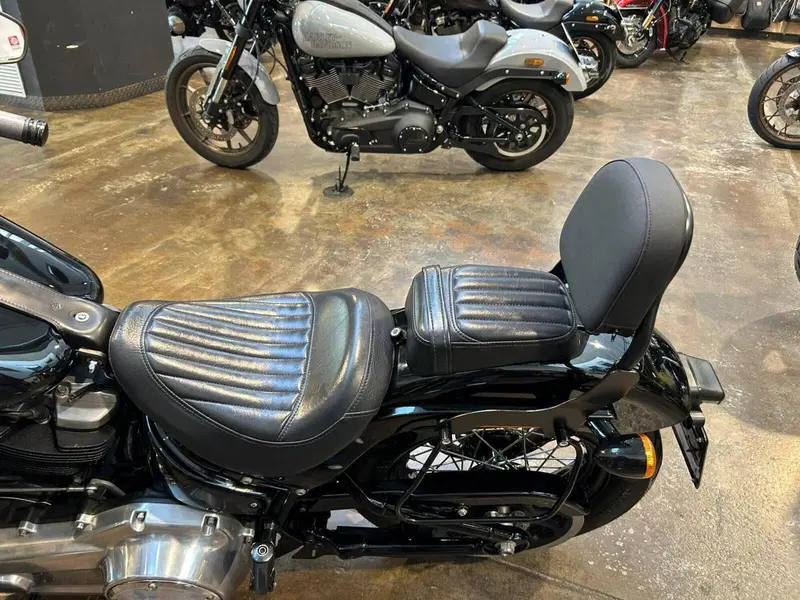 Harley-Davidson 107 Slim (2018 - 20) - FLSL (8)