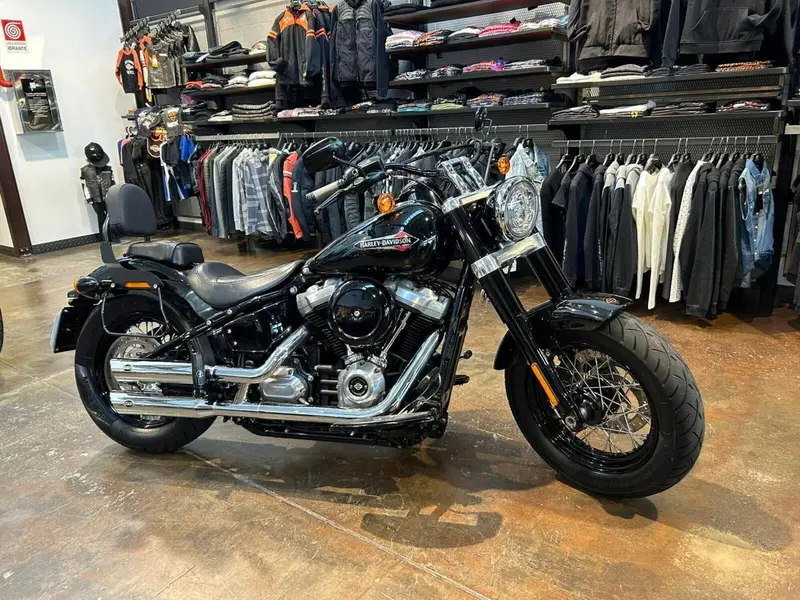 Harley-Davidson 107 Slim (2018 - 20) - FLSL (14)