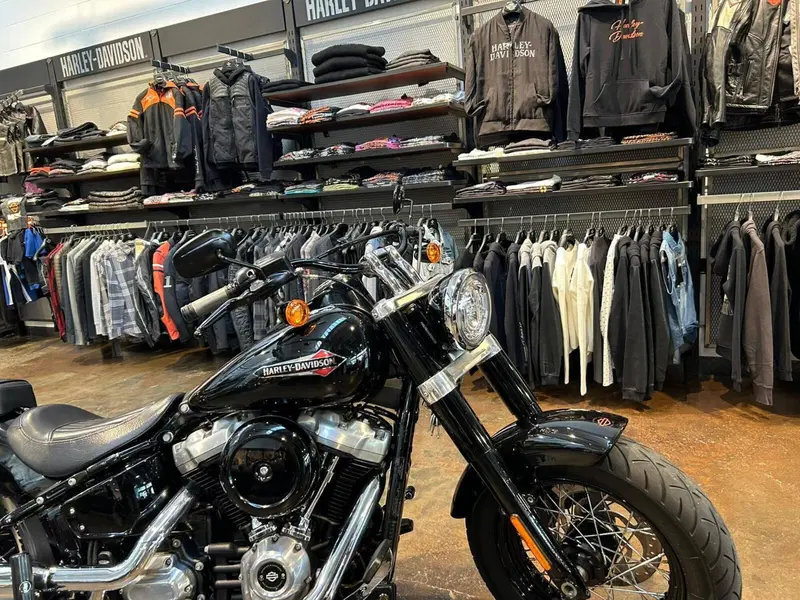 Harley-Davidson 107 Slim (2018 - 20) - FLSL (15)