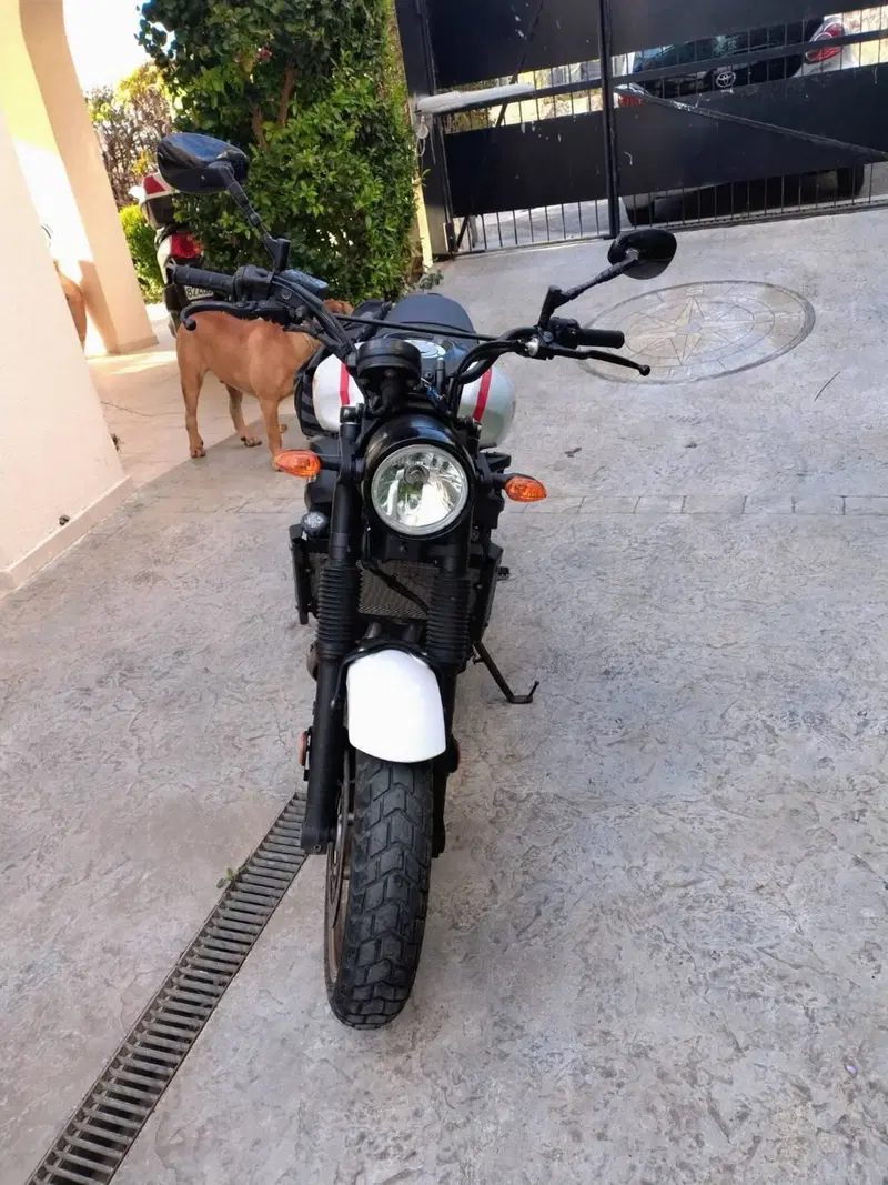Yamaha XSR 700 XTribute (2022 - 24) (5)