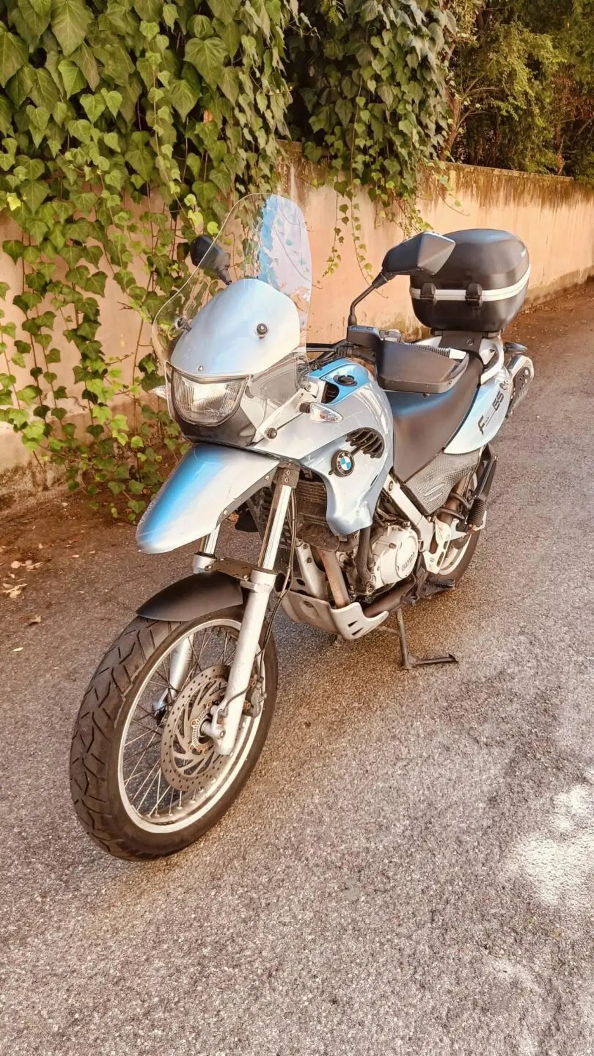 Bmw F 650 GS (2000 - 03) (2)