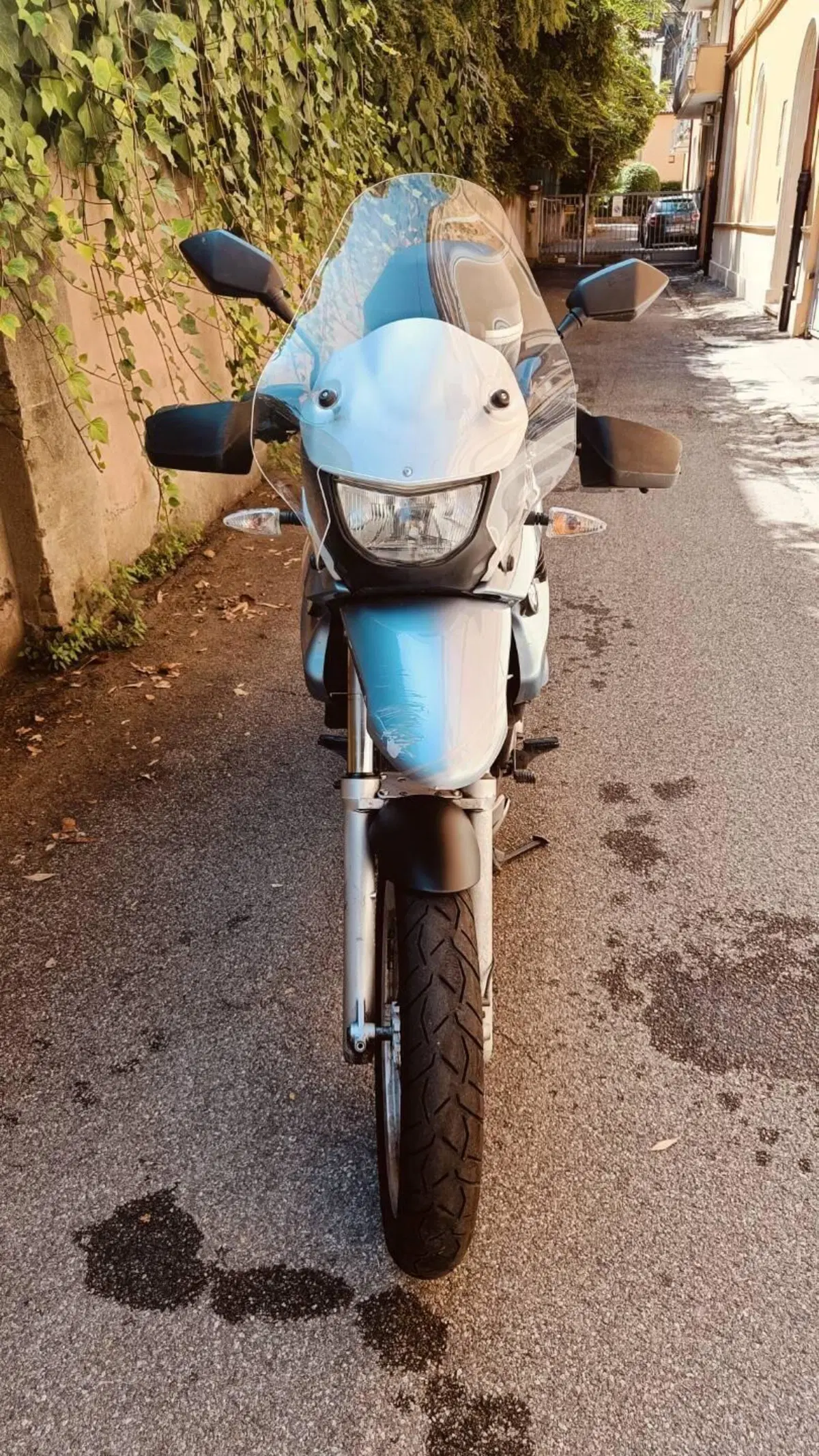 Bmw F 650 GS (2000 - 03) (6)