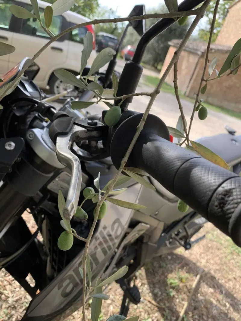 Aprilia SX 125 (2018 - 20) (10)