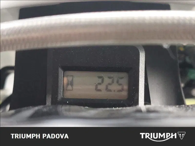 Triumph TF 250-X (2024 - 25) (2)