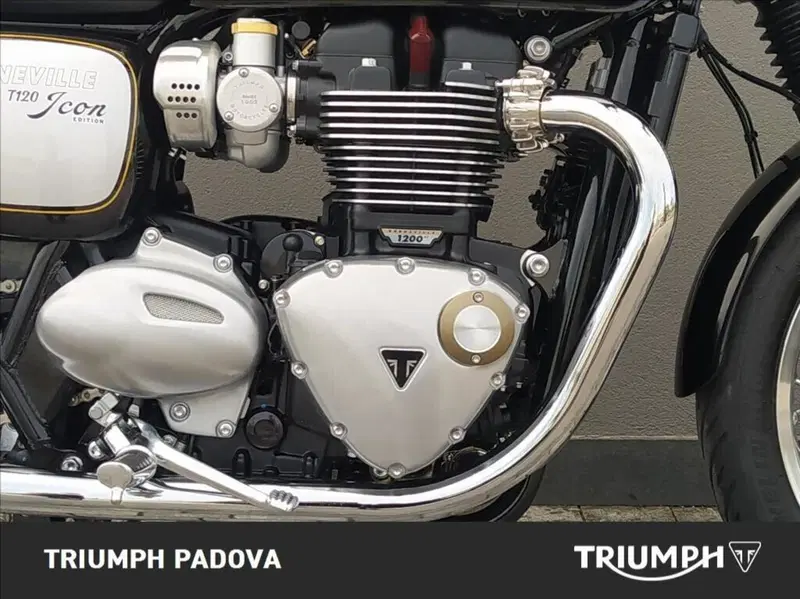 Triumph Bonneville T120 Icon Edition (2025 - 26) (3)
