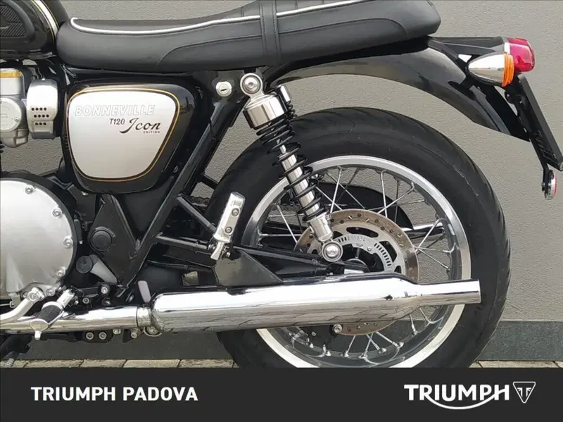 Triumph Bonneville T120 Icon Edition (2025 - 26) (7)