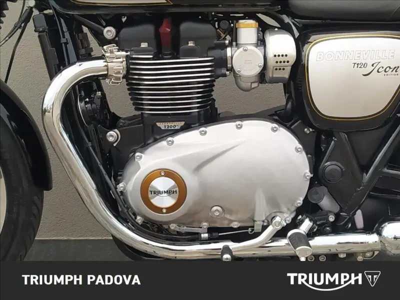 Triumph Bonneville T120 Icon Edition (2025 - 26) (8)