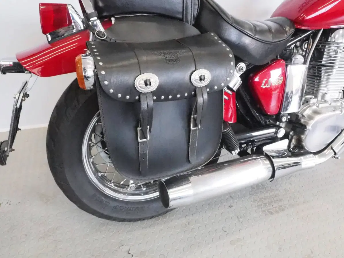 Suzuki LS 650 (1993 - 98) (4)