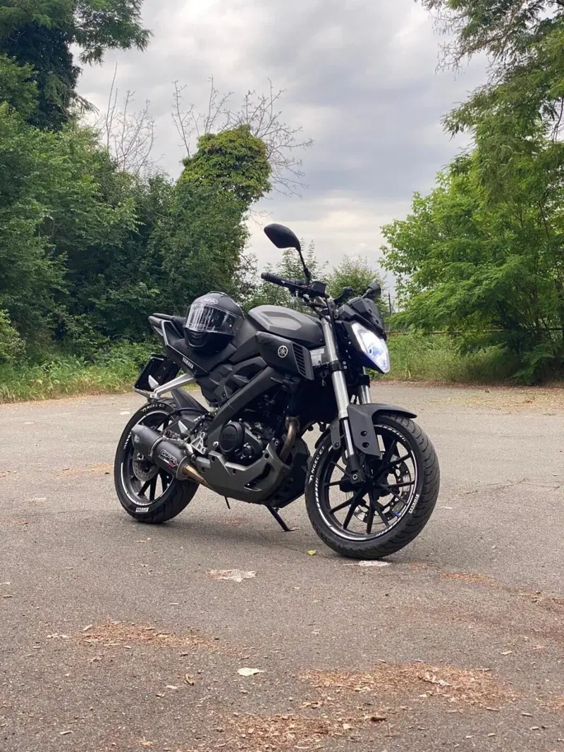 Yamaha MT-125 (2014 - 16) (2)