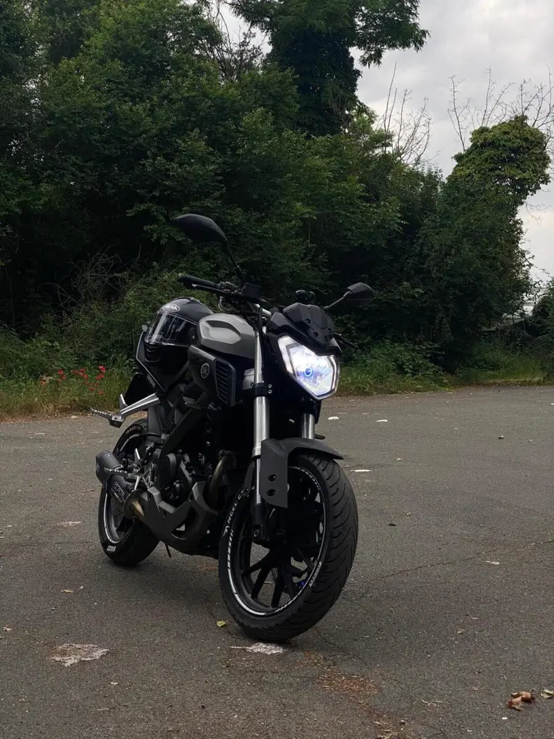 Yamaha MT-125 (2014 - 16) (4)