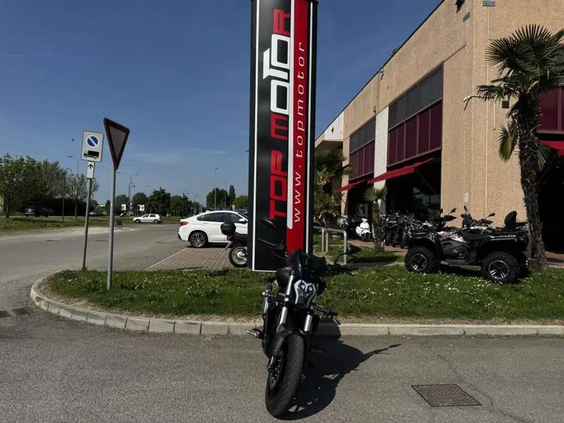 Benelli 502 C (2019 - 20) (6)