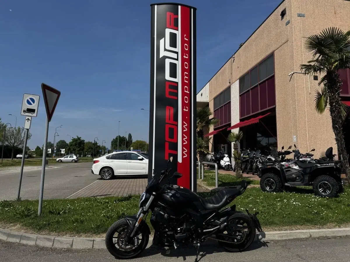 Benelli 502 C (2019 - 20) (3)