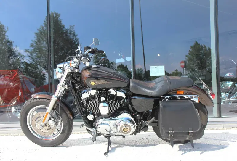 Harley-Davidson 1200 Custom (2007 - 13) - XL 1200C (4)