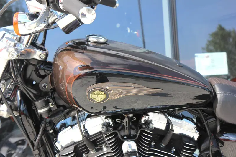 Harley-Davidson 1200 Custom (2007 - 13) - XL 1200C (6)