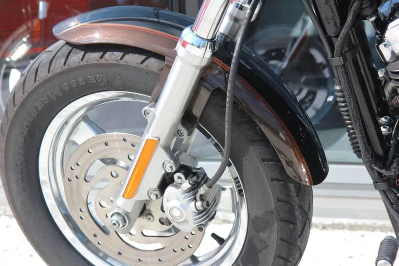 Harley-Davidson 1200 Custom (2007 - 13) - XL 1200C (5)