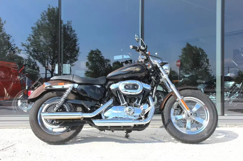 Harley-Davidson 1200 Custom (2007 - 13) - XL 1200C (3)