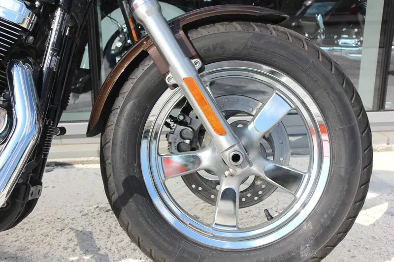 Harley-Davidson 1200 Custom (2007 - 13) - XL 1200C (12)