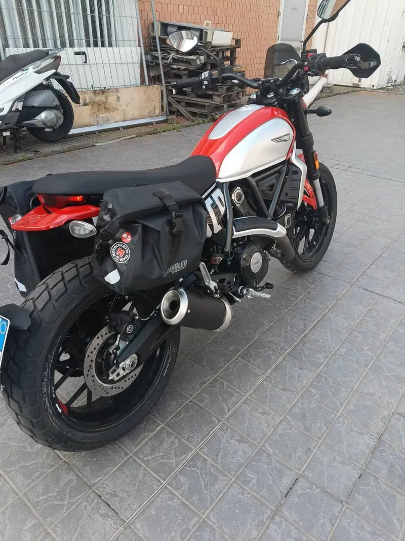 Ducati Scrambler 800 Icon (2023 - 24) (4)