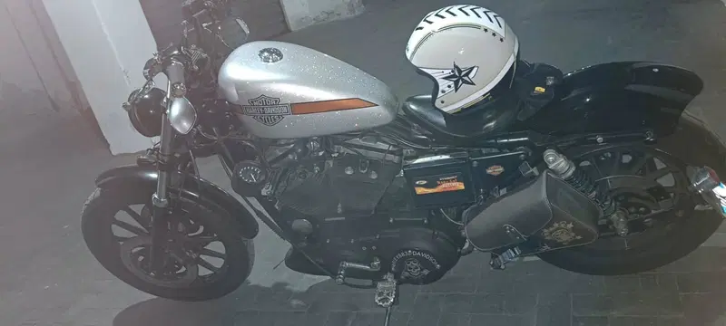 Harley-Davidson 883 Standard (2001 - 05) - XL 883