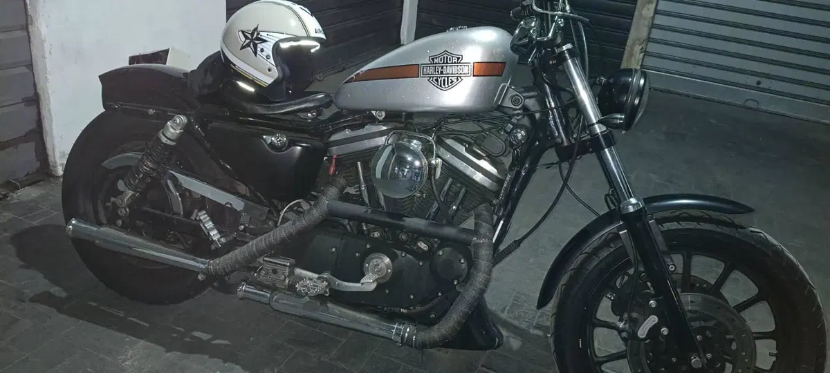 Harley-Davidson 883 Standard (2001 - 05) - XL 883 (3)
