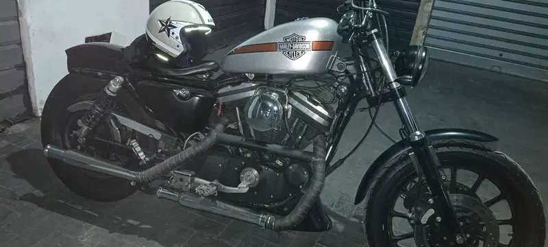 Harley-Davidson 883 Standard (2001 - 05) - XL 883 (3)