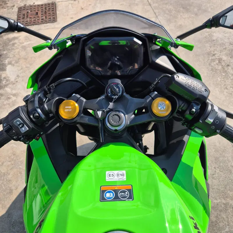 Kawasaki Ninja ZX-4RR (2024 - 26) (7)