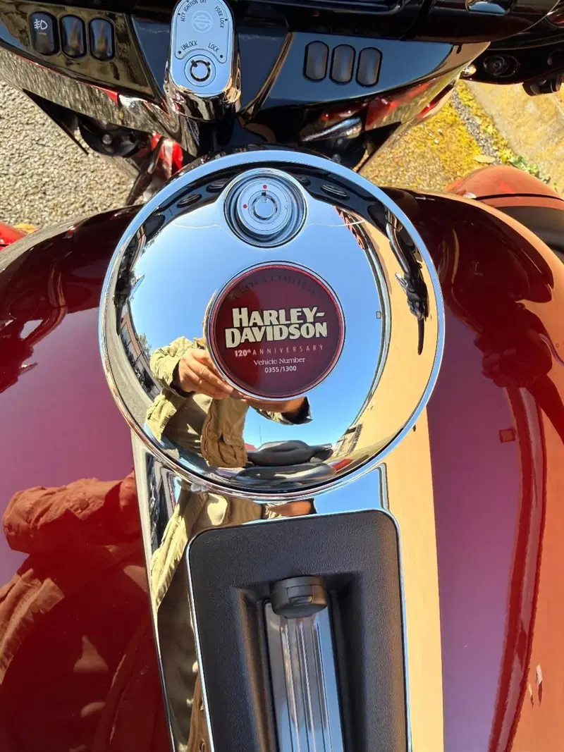 Harley-Davidson Ultra Limited Anniversary (2023) (2)