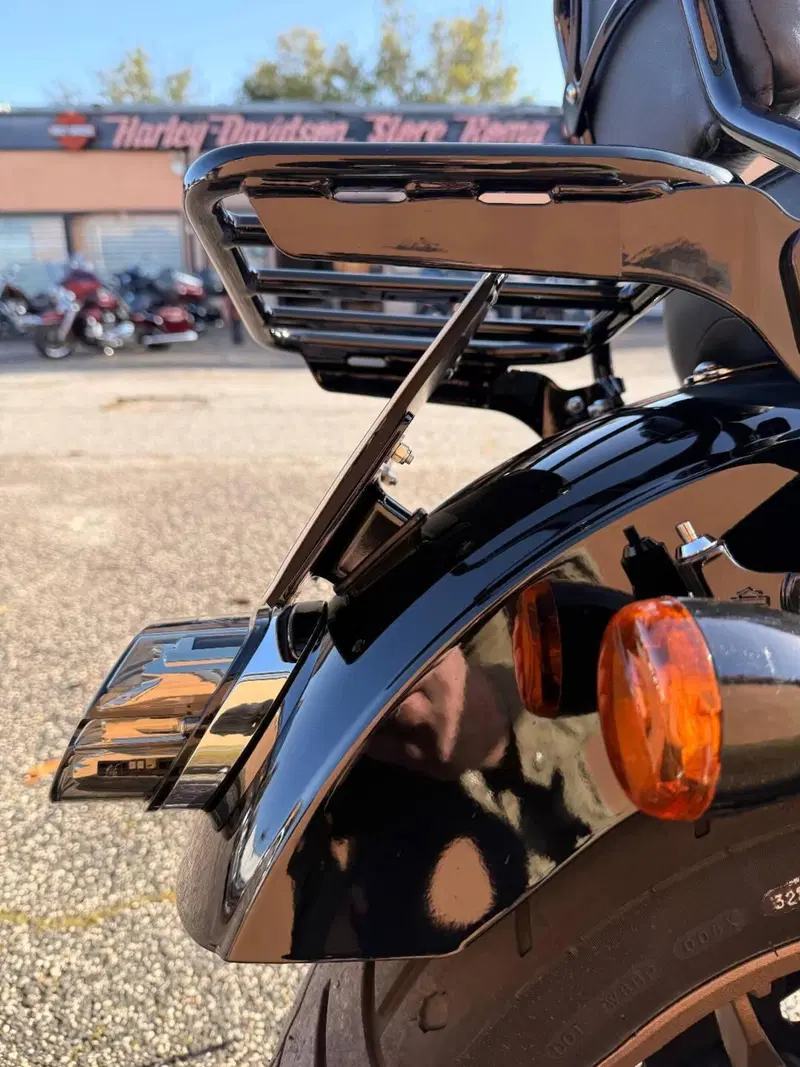 Harley-Davidson Low Rider S (2022 - 24) (6)