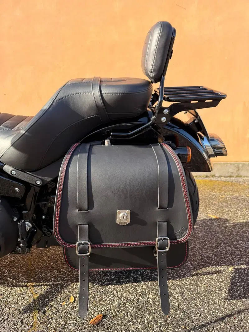 Harley-Davidson Low Rider S (2022 - 24) (7)