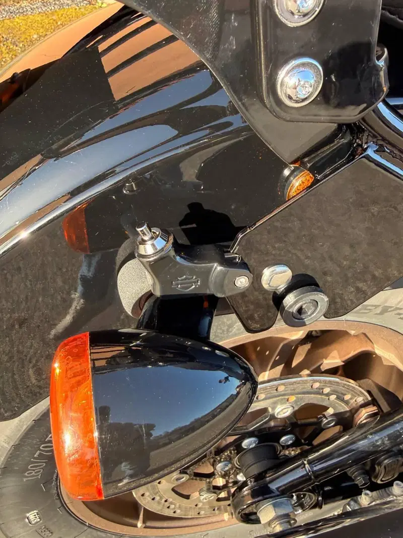 Harley-Davidson Low Rider S (2022 - 24) (9)