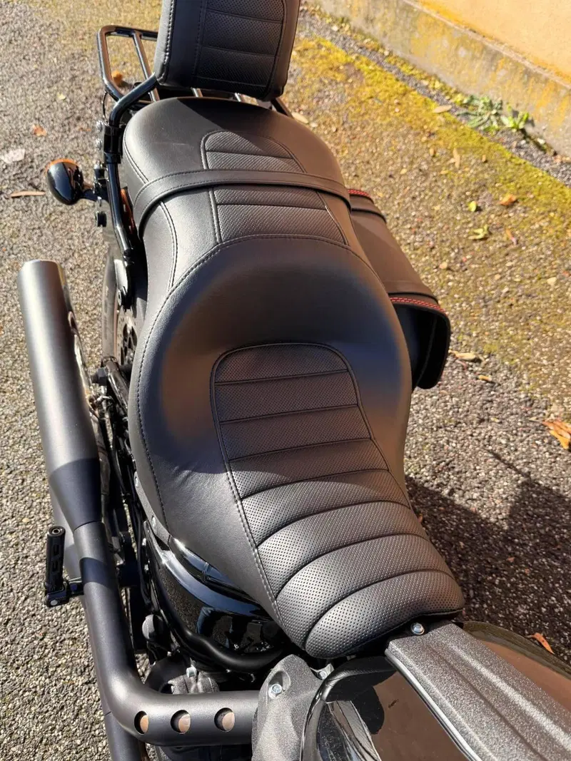 Harley-Davidson Low Rider S (2022 - 24) (11)