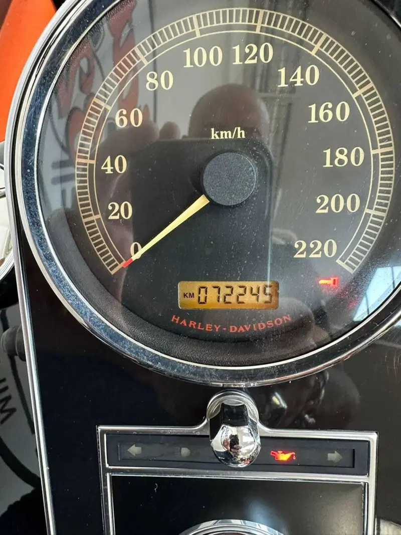 Harley-Davidson 1584 Fat Boy (2008 - 10) - FLSTF (4)
