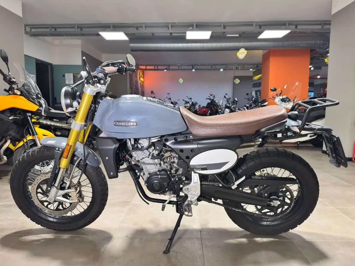 Fantic Motor Caballero 125 Scrambler (2021 - 23) (4)